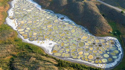 otherworldly polka dots  spotted lake   york times