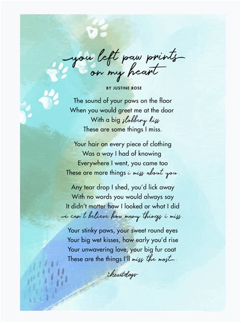 printable version  rainbow bridge poem  dogs  architect