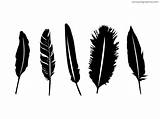 Feathers Vector Feather Silhouette Clipart Indian Silhouettes Eps Fether Transparent Getdrawings Psdgraphics Shapes  Photoshop Tribal Editable Isolated Five Different sketch template
