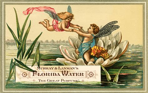 vintage fairies frolic on a lily pad label the graphics