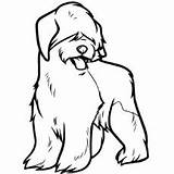 Coloring Pages English Old Sheepdog Dog Drawing Animals Pet Sheep Draw Getdrawings Printable Drawings Getcolorings sketch template