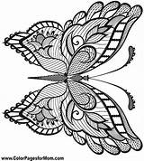 Coloring Butterfly Pages Butterflies Adult Drawing Adults Mandalas Printable Tattoo Fairies Print Color Mandala Hard Sheets Colorpagesformom Para Book Books sketch template