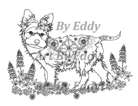 art  yorkie single coloring page art yorkie pet portraits