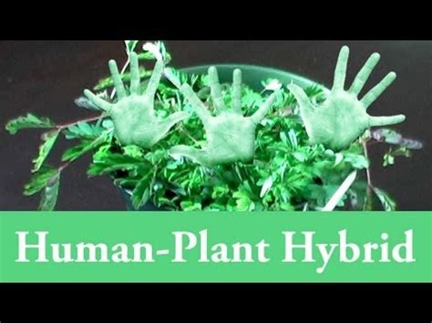 human plant hybrid genetic engineering  home youtube