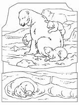 Ijsbeer Polar Oso Leukekleurplaten Kleurplaten Dibujosparaimprimir Kleur Coloringpage één sketch template