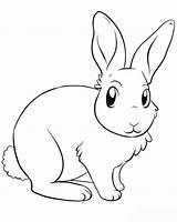 Kaninchen Ausmalbilder Hase Mytie Hasen Wohnkultur Bastelideen Frisur Ausmalbildertv Drawing sketch template