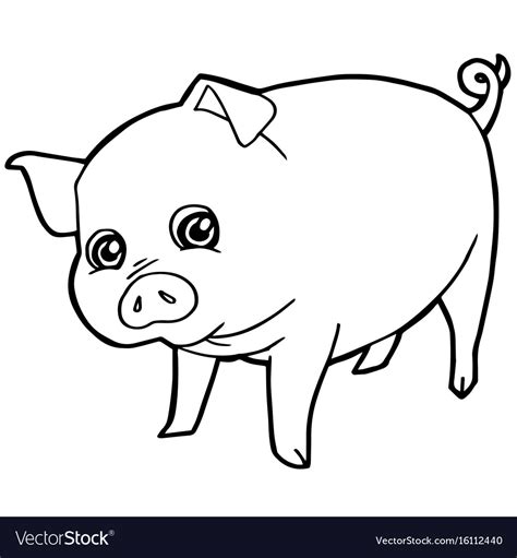 cartoon cute pig coloring page royalty  vector image