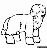 Dog Dogs Coloring Portuguese Water Pages Trace Thecolor Clipart sketch template