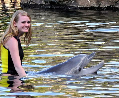 go swimming with dolphins discovery cove orlando florida february