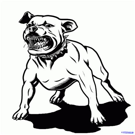 pitbull dog coloring pages coloring home