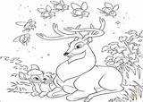 Deer Coloring Pages Printable Kids Bambi Whitetail Buck Family Print Hunting Drawing Baby Bestcoloringpagesforkids Color Roe Disney Realistic Getcolorings Getdrawings sketch template