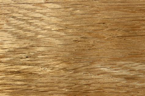 oak wood grain texture close  picture  photograph  public domain