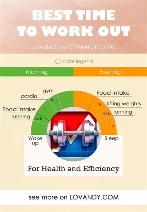 pin by that birch on when is the best time to exercise morning vs