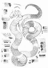 Scales Snake Draw Scale Schlange Snakes Zeichnung Drachen Schlangen Skizze Zeichnungen Fürs sketch template