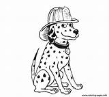 Dog Fire Dalmatian Coloring Pages Dalmation Printable Fireman Sheets Kids Color Birthday Book Dogs Dalmatians Getcolorings Print Printables Sparky Info sketch template