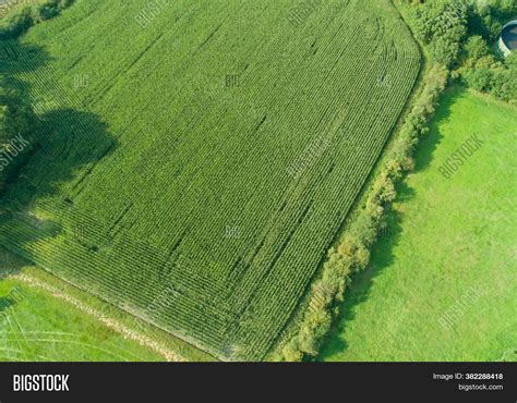 drones aerial view image photo  trial bigstock