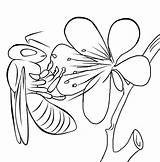 Bee Coloring Pages Kids Printable Bestcoloringpagesforkids sketch template