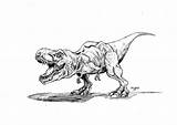Raptor Coloriage Dinosaure Trex Pages sketch template