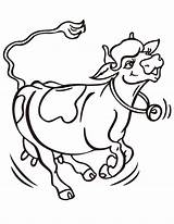 Cow Coloring Cows Clarabelle Jumping Mucca Corre Divertenti Mucche sketch template