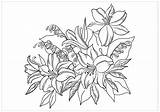 Printable Coloring Pages Buzzle sketch template