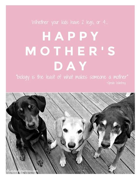 happy mommys day mothersday  images happy dog mothers day