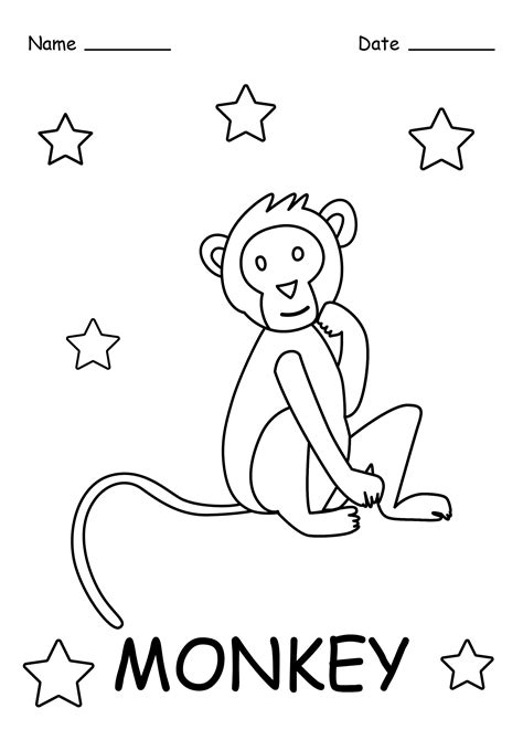 wild animals coloring pages animals coloring sheets wild etsy