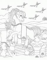 Bella Sara Coloring Pages Adult sketch template