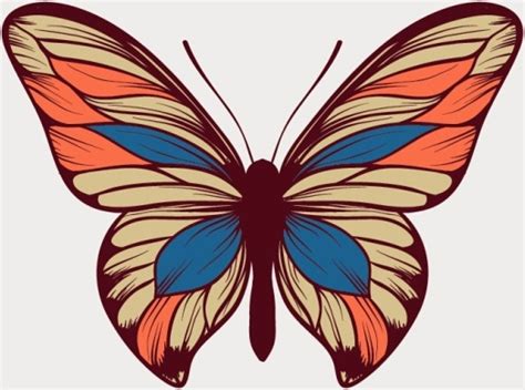 original design butterfly vector vectors graphic art designs in