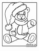 Coloring Christmas Teddy Pages Bears Printable sketch template