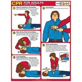cpr chart laminated poster  eyelets infant school health