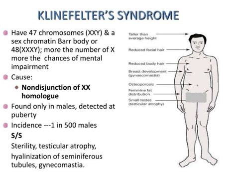 Klinefelter Syndrome Causes Symptoms Treatment Tabitomo