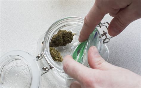 moisten dry marijuana buds leafly