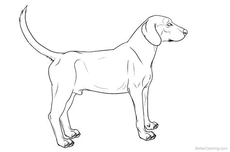 hound dog coloring pages  printable coloring pages
