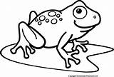 Frog Clip Clipart Frogs Pond Outline Cliparts Lily Cute Pad Drawing Line Tree Vector Coloring Waving Easy Pages Library Clipartix sketch template