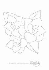 Flower Coloring Plumeria Magnolia Printable Pages Adult Book Getdrawings Getcolorings Color Adu Colorings sketch template