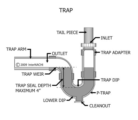 trap inspection gallery internachi