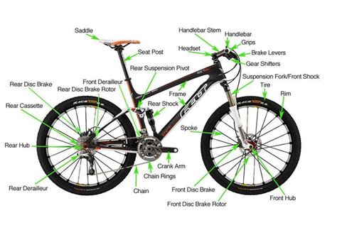 sharing anatomy  mountain bike parts components bike parts mountain bike parts bike