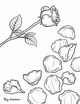 Petals Downloadable sketch template