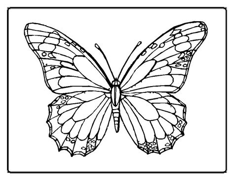 butterfly template printable az coloring pages