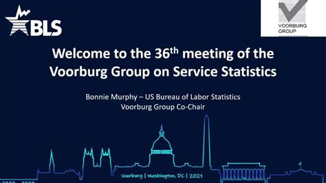 day     meeting   voorburg group  service statistics youtube