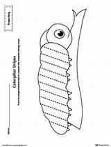 Tracing Diagonal Worksheet Prewriting Line Caterpillar Writing Pre Worksheets Lines Trace Shapes Skills Myteachingstation Printable Curved Preschool Activities Color Available sketch template