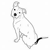 Pitbull Ears Floppy Staffordshire Line Staffy Clip sketch template