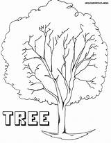 Tree Coloring Pages Nature sketch template