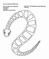 Snake Printable Templates Template Namib Outline Snakes Sidewinder Pbs Activity Coloring Color Edens Popular sketch template