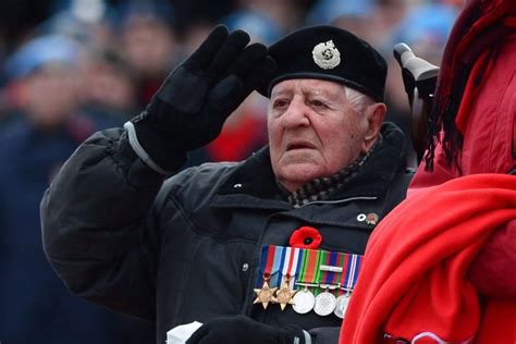 canada   wear  poppy   military veteran  remembrance