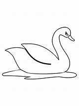 Swan Coloring Gaddynippercrayons Swans sketch template