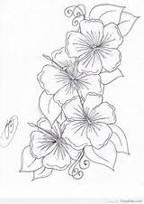 Plumeria Flower Drawing Getdrawings Coloring Pages sketch template