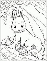 Rabbit Coloring Kids Pages Color Print Incredible Printable Children Animals sketch template