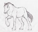 Clydesdale Budweiser Drawing Clydesdales sketch template