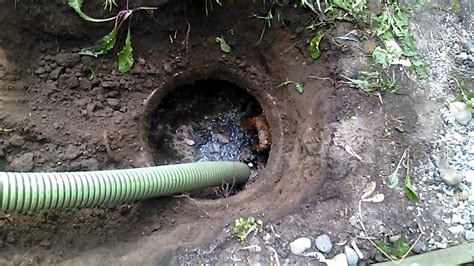 septic system pumped septic tank care
